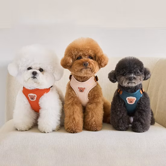 Chine Vente en gros d'animaux de compagnie non